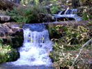 photo thumbnail #4