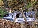 photo thumbnail #6