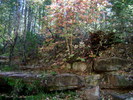 photo thumbnail #11