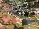 photo thumbnail #15