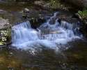 photo thumbnail #7