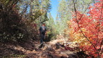 photo thumbnail #6