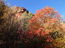 photo thumbnail #7