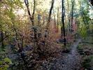 photo thumbnail #8