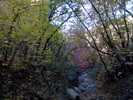photo thumbnail #15