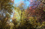 photo thumbnail #9