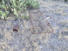 photo thumbnail #8
