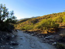 photo thumbnail #1