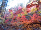 photo thumbnail #11