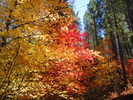 photo thumbnail #14