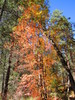 photo thumbnail #15