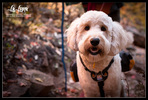 photo thumbnail #10