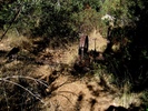 photo thumbnail #11