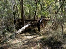 photo thumbnail #13