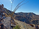 photo thumbnail #9