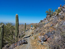 photo thumbnail #11