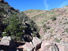 photo thumbnail #9