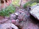 photo thumbnail #11