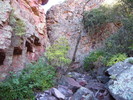 photo thumbnail #12