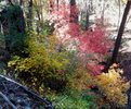 photo thumbnail #3