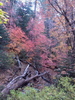 photo thumbnail #13