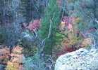 photo thumbnail #15