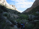 photo thumbnail #13