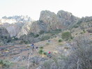 photo thumbnail #5