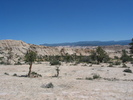 photo thumbnail #11