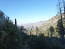 photo thumbnail #7
