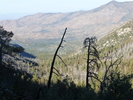 photo thumbnail #8