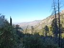 photo thumbnail #9