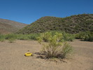 photo thumbnail #3