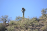 photo thumbnail #2