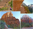 photo thumbnail #9