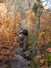 photo thumbnail #15