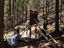 photo thumbnail #4
