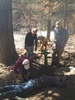 photo thumbnail #3