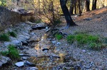 photo thumbnail #1
