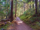 photo thumbnail #4