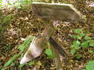 photo thumbnail #5