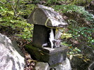 photo thumbnail #8