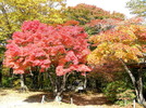 photo thumbnail #9