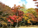 photo thumbnail #11