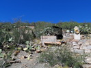 photo thumbnail #5