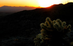 photo thumbnail #14