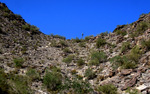 photo thumbnail #2