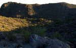 photo thumbnail #8