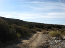 photo thumbnail #1