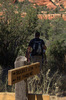 photo thumbnail #8